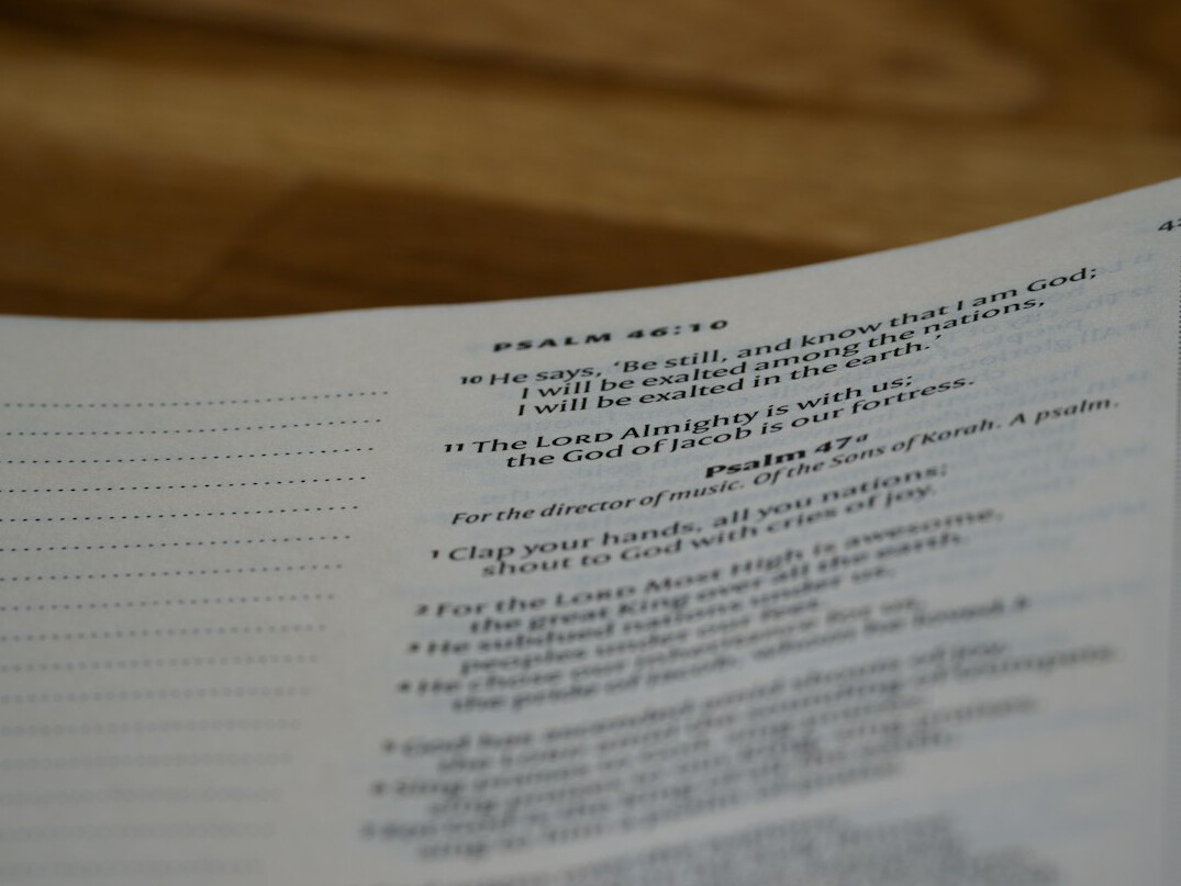 meal planning list